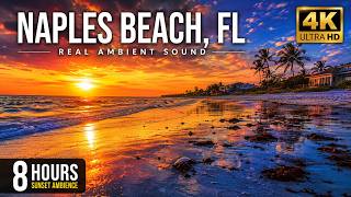 Naples Beach Sunset 🌊 Relaxing Ocean Waves for Deep Sleep & Stress Relief