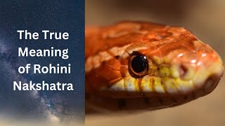 Rohini Nakshatra Of Seduction And Affairs- Vedic Sidereal Astrology