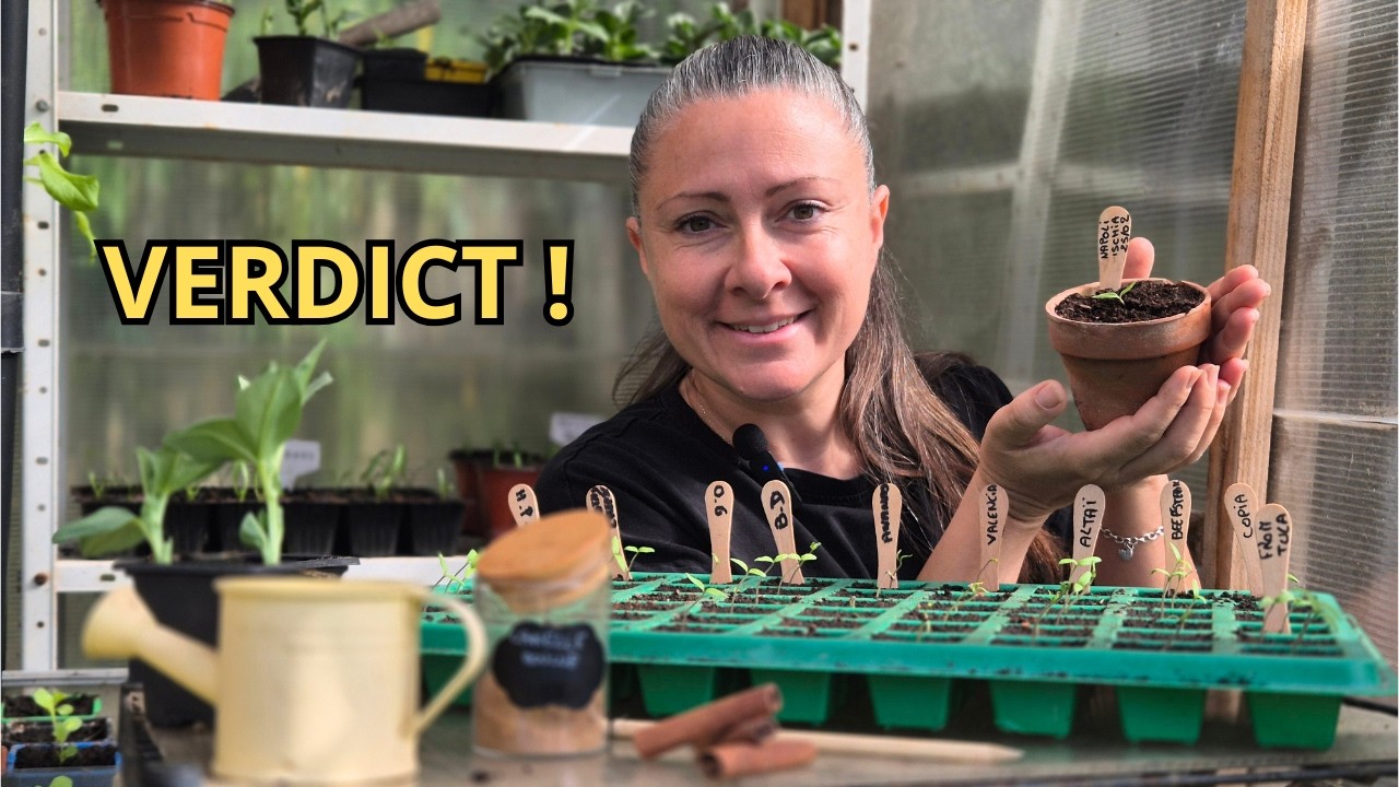 🪴 TOMATES 2026 : Le verdict 15 jours après l'astuce à la cannelle !
