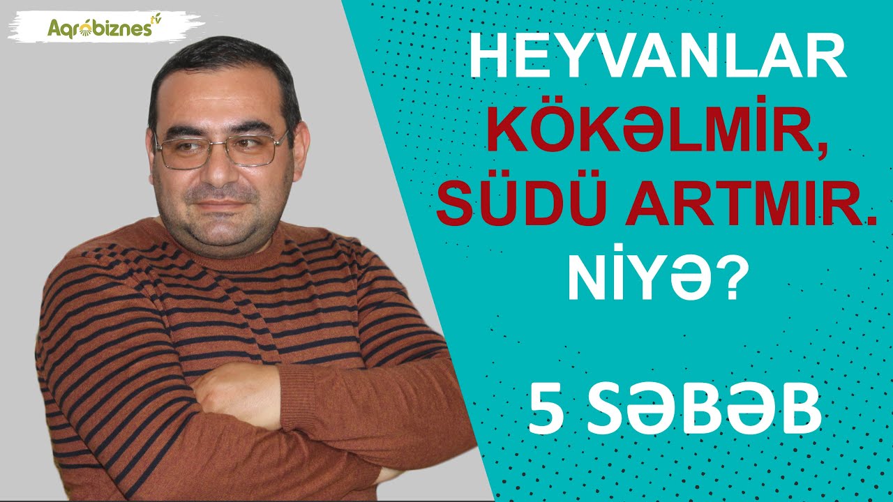 Heyvanı kökəltməyin 5 sadə yolu