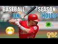 Baseball season on hold