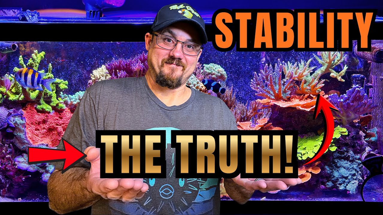 Reef Tank Stability: The TRUTH about Parameters! - YouTube
