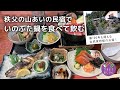 【埼玉県秩父の民宿 一人旅】山あいの古民家を改修した宿でいのぶた鍋と飲む