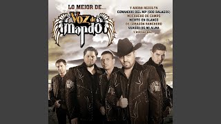 Gente De Arranque