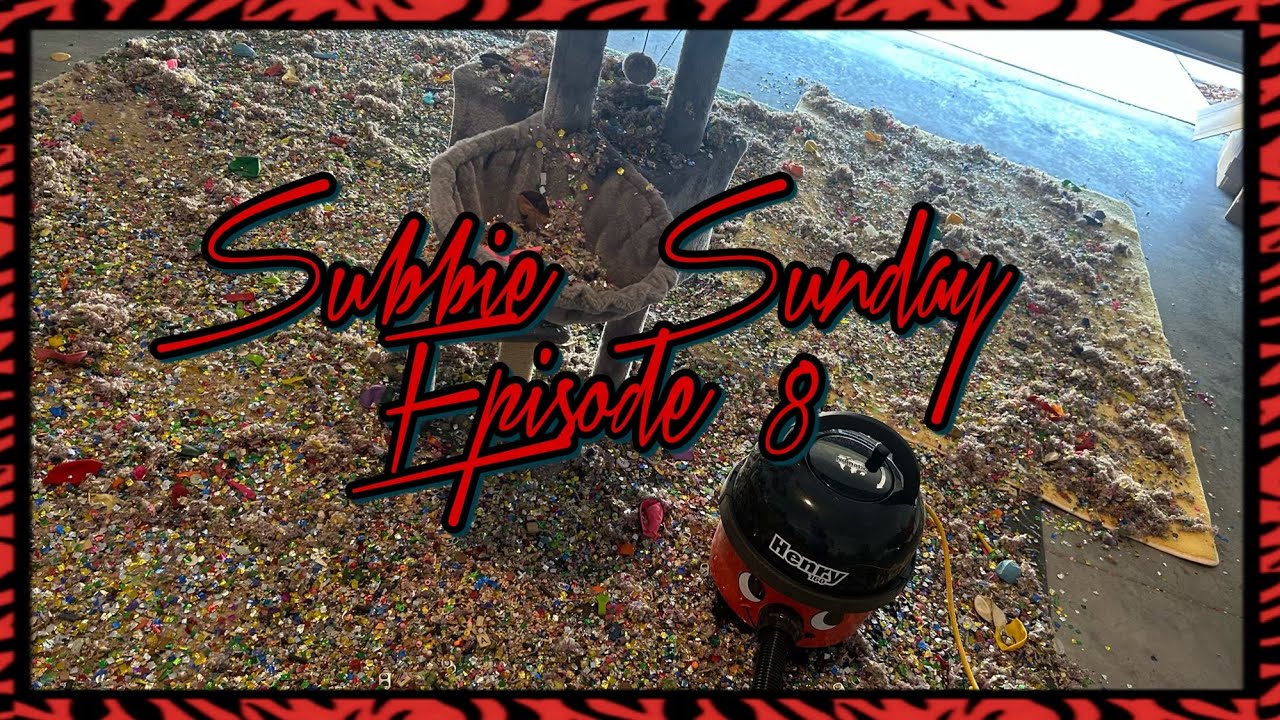 Subbie Sunday Part 8 ~ Henry~ OG mix | Blue dolphin🐬 clean up | Happy Birthday to everyone I missed