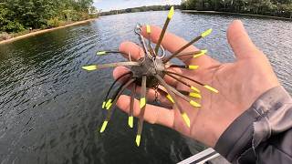 Will This Weird Lure Catch Anything?? Urchin Fishing Lake Anna
