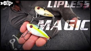 4 Prespawn Bass Fishing Tips for Lipless Crankbaits