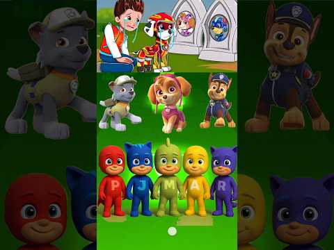 مطاردة باو باترول المخيفة رايدر أغنية رقصة التابوت غلاف تايلز هوب الحلقة 190 Shorts Pawpatrol 