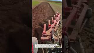 Deep Tillage Beast! Heavy-Duty Subsoiler in Action 🚜🌱 #Farming #Tractor #Agriculture