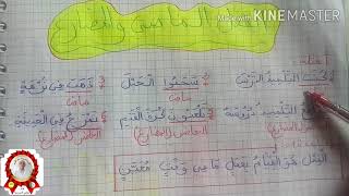 التمييز بين الفعل الماضي والفعل المضارع