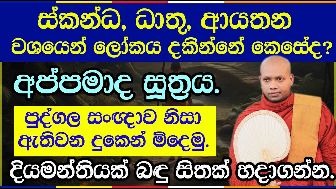 නරක් වූ තුවාලයක් වන් සිත සුවපත් කරන්නේ කෙසේද? | Hasalaka Seelawimala Thero | 3039