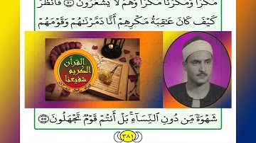 ترتيل القرآن الكريم الصفحة ٣٨١ + ٣٨٢ / 382 + 381 القارئ الشيخ محمد صديق المنشاوي