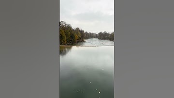 من سورة الزخرف