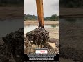 Excavation of a Dry Riverbed Using an Excavator !! #innovation #tool #excavator