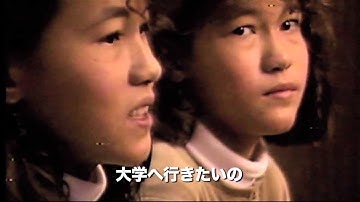 映画『ミラクルツインズ』予告編