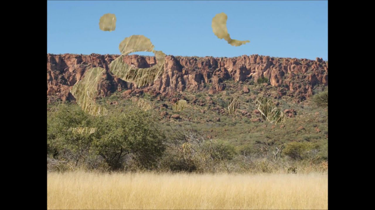 How the Cheetah Got its Spots - YouTube