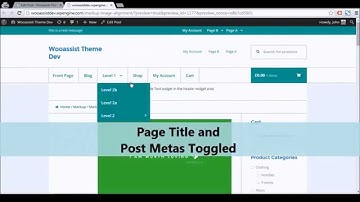 Title Toggle for Storefront Theme