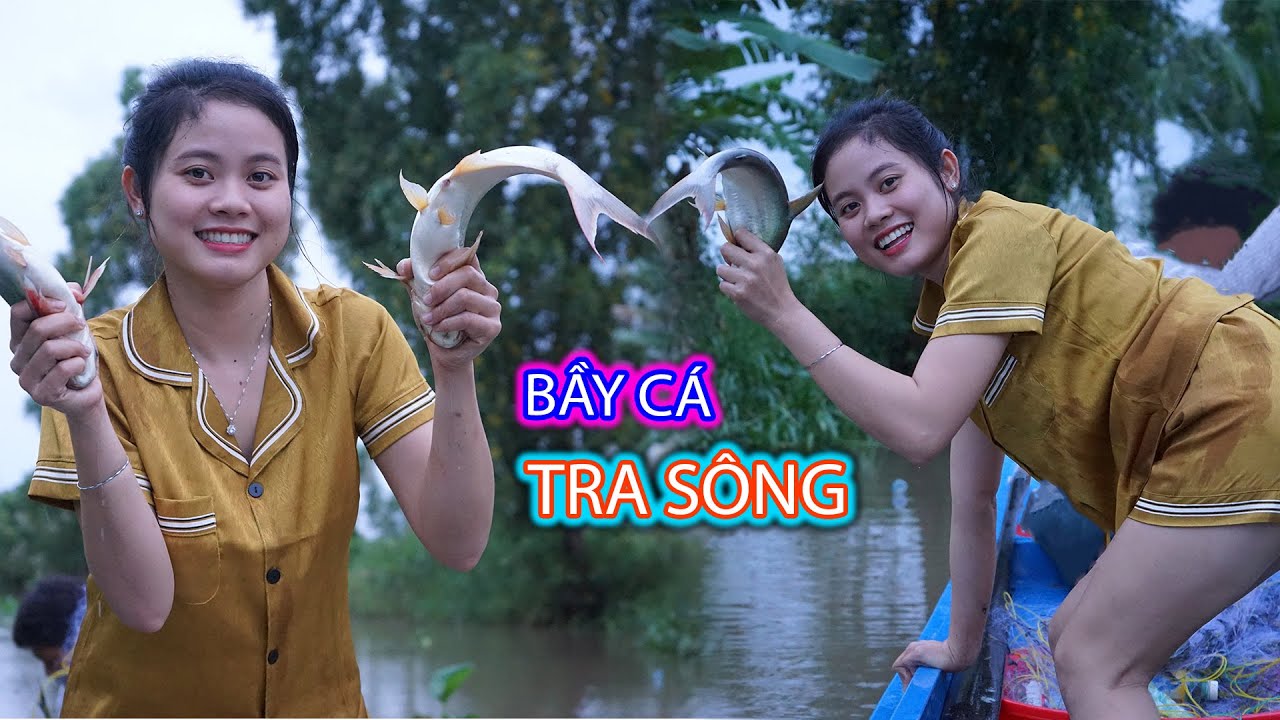 Chiều hai cha con bích hương ra sông đánh được bầy cá tra sông quá đã