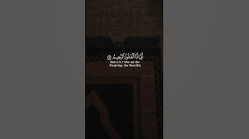 نبئ عبادي أني أنا الغفور الرحيم و أن عذابي هو العذاب الأليم || سورة الحجر || القارئ: ياسر الدوسري