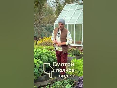 Костная мука, КОЛБАСА и удобрение - YouTube
