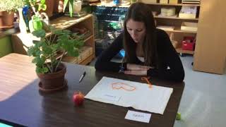 Famous Open and closed shape lesson Profile