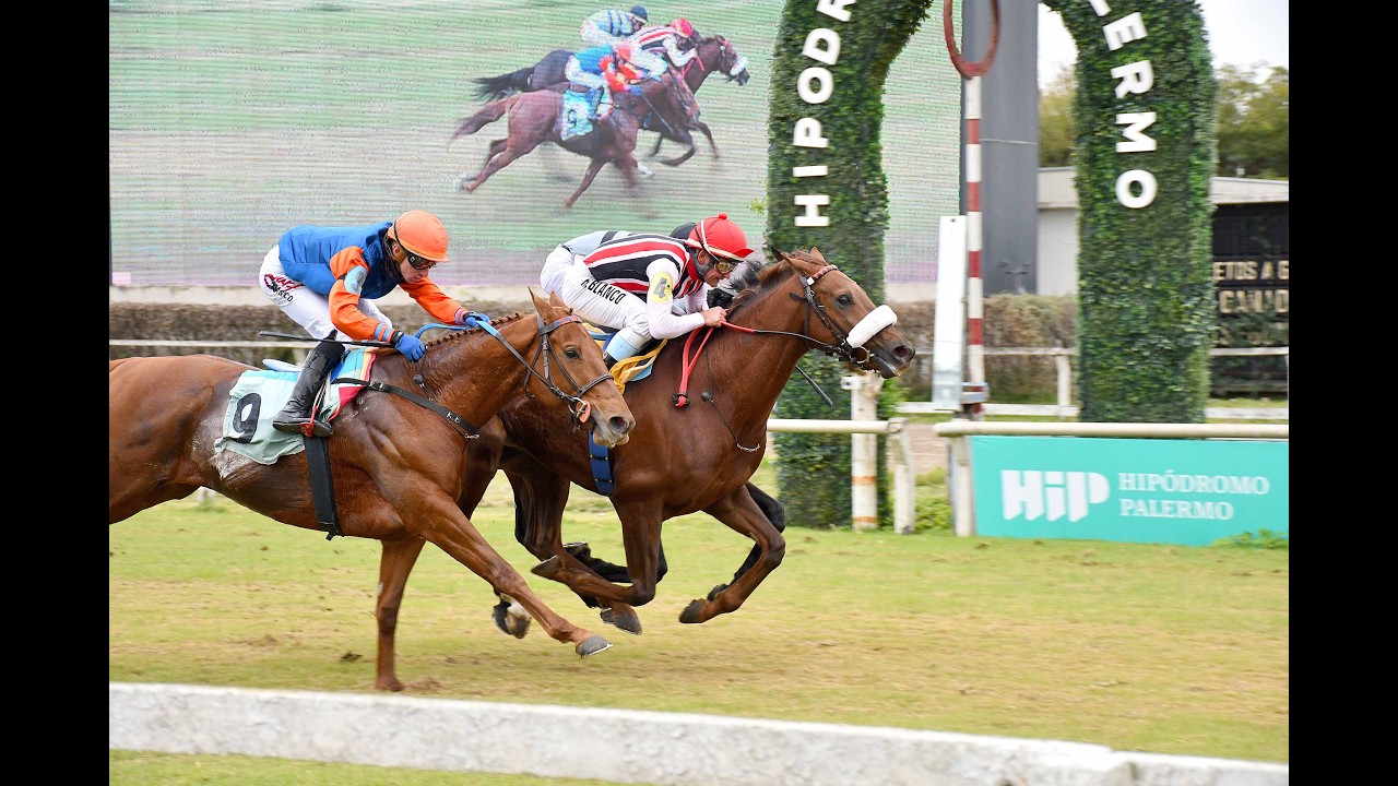 Clásico Chacabuco (G2) 2025 - Out of the Blue (Brz-Drosselmeyer)