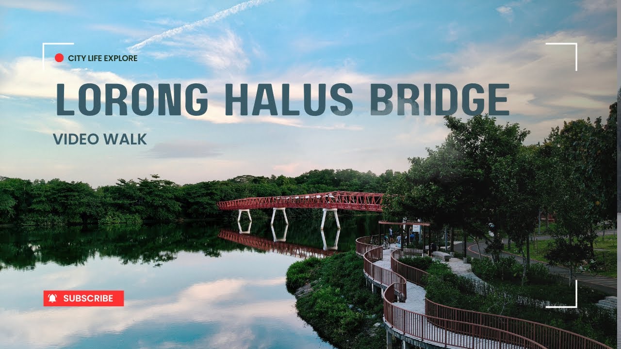 Exploring Lorong Halus Bridge & Scenic Walkways | Serene Nature in Singapore