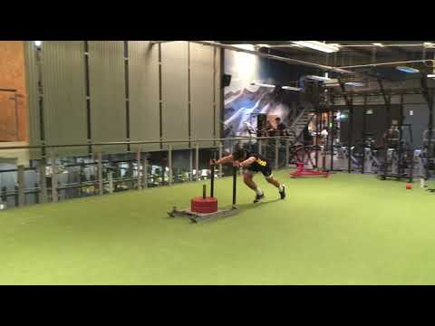 Prowler Push (Sled) - Dynamic/ Sprint