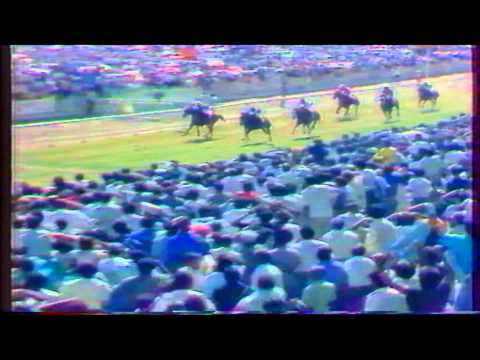 Lines Of Power v/s Wild Amber - Mohammad Moorad Keerpah- Free Horse Racing Tips