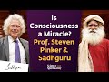 Is consciousness a miracle  harvards cognitive scientist prof steven pinker  sadhguru