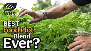 Very Powerful Food Plot Combo | Rut Zone - Best Yet? 