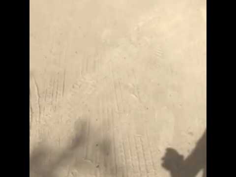 هوشه عبودكا
