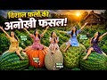 #Shahar ki ladkiyan gaon mein ghumne ke liye aayee unhen surprise Mila