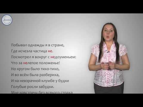 Русский 5 Правописание НЕ с именами существительными