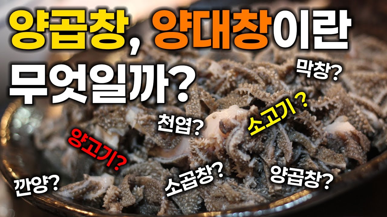 곱창집 내장류를 총정리 해봤습니다(Feat.깐양볶음과 특양, 대창구이 레시피)
