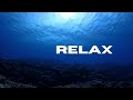 Ocean life | Underwater Life  &amp; Relaxing Music 1 hour