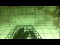 Contor HD Helmet Cam in Crab Cage at Pillar Point Half Moon Bay CA 6-5-14 Time Lapse