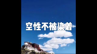 201707 空性不被染着23164
