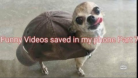 Random Videos saved in my Phone part 7