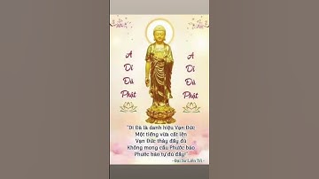 NAM MÔ A DI ĐÀ PHẬT.NGUYỆN CẢ THẢY CHÚNG SANH ĐỀU TÍN NHIỆM DI ĐÀĐỀU ĐỒNG SANH VÀO CÕI NƯỚC CỰC LẠC