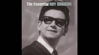 Roy Orbison - It’s Over Resimi