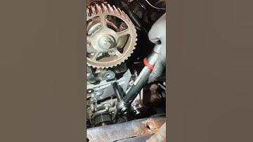 1.25 Fiesta Timing Belt