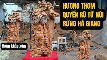 Di Lạc Gỗ Ngọc Am Lên Dáng Chuẩn | Hương Thơm Quyến Rũ Từ Núi Rừng Hà Giang