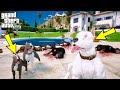 BEYAZ PİTBULL JACK YAVRULARINI ROTTWEILER SÜRÜSÜNDEN KURTARIYOR! - GTA 5