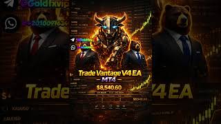 Trade Vantage V4 EA MT4 Automated Forex Robot FREE DOWNLOAD الاكسبرت الأكثر ربحا في الفوركس