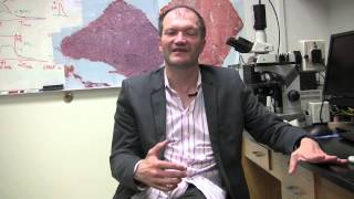 Famous Dr. Eric Vilain, M.D., UCLA Professor of Human Genetics, Pediatrics and Urology Profile