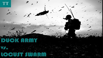 China May Deploy Duck Army to Fight Locusts