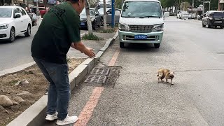 видео: Когда мой муж увидел бездомную собаку, которая кружилась на месте, он застыл... картинка: Когда мой муж увидел бездомную собаку, которая кружилась на месте, он застыл...