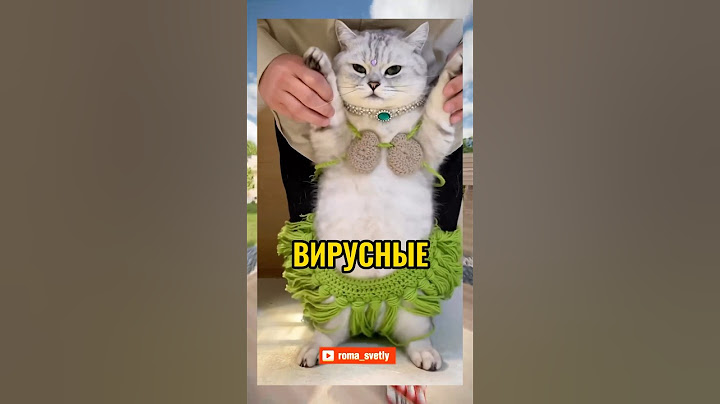 ВИРУСНЫЕ ВИДЕО / Дезактивация Кота
