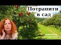 &quot;Потрапити в сад&quot; аудіокнига скорочено. Галина Пагутяк